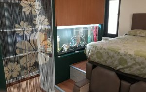 NISOU 360L FRESH