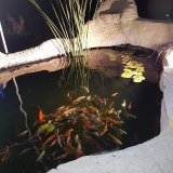 1NISOU6500LPOND