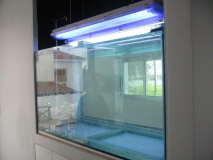 1_2PALLOUR700LFRESH