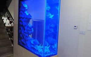 PAPHOS 700L FRESHWATER