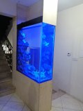 1-PAPHOS-700L-FRESH