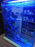 4-PAPHOS-700L-FRESHWATER