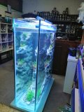 7-PAPHOS-700L-FRESHWATER