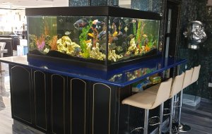 PISSOURI 1500L FRESHWATER