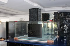 10-PISSOURI-1500L-FRESHWATER