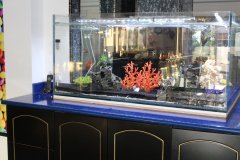 11-PISSOURI-1500L-FRESHWATER