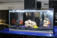12-PISSOURI-1500L-FRESHWATER