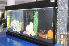 14-PISSOURI-1500L-FRESHWATER