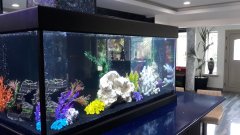 2-PISSOURI-1500L-FRESHWATER