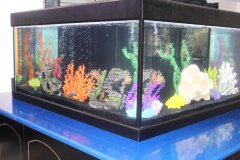 5-PISSOURI-1500L-FRESHWATER