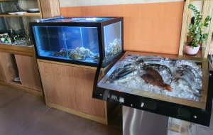 REBUKE LARNAKA LOBSTER 200L