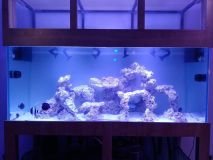 2-STROVOLOS-1500L-MARINE