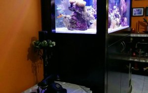 STROVOLOS 530L MARINE
