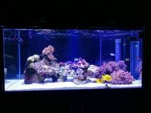 2-STROVOLOS530LMARINE