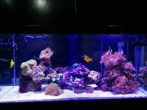 3-STROVOLOS530LMARINE