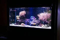 8-STROVOLOS530LMARINE