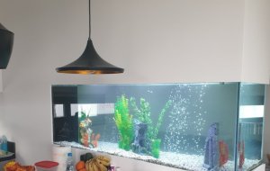 STROVOLOS 700L FRESHWATER