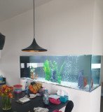 1-STROVOLOS-700L-FRESHWATER-1600x1200