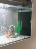 15-STROVOLOS-700L-FRESHWATER-1600x1200