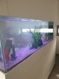 2-STROVOLOS-700L-FRESHWATER-1600x1200