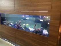 2-TRAXONI-900L-FRESH