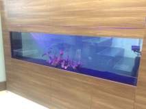 3-TRAXONI-900L-FRESH