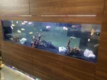 4-TRAXONI-900L-FRESH