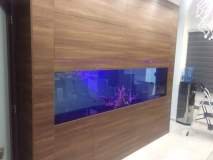 5-TRAXONI-900L-FRESH