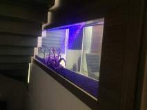 6-TRAXONI-900L-FRESH